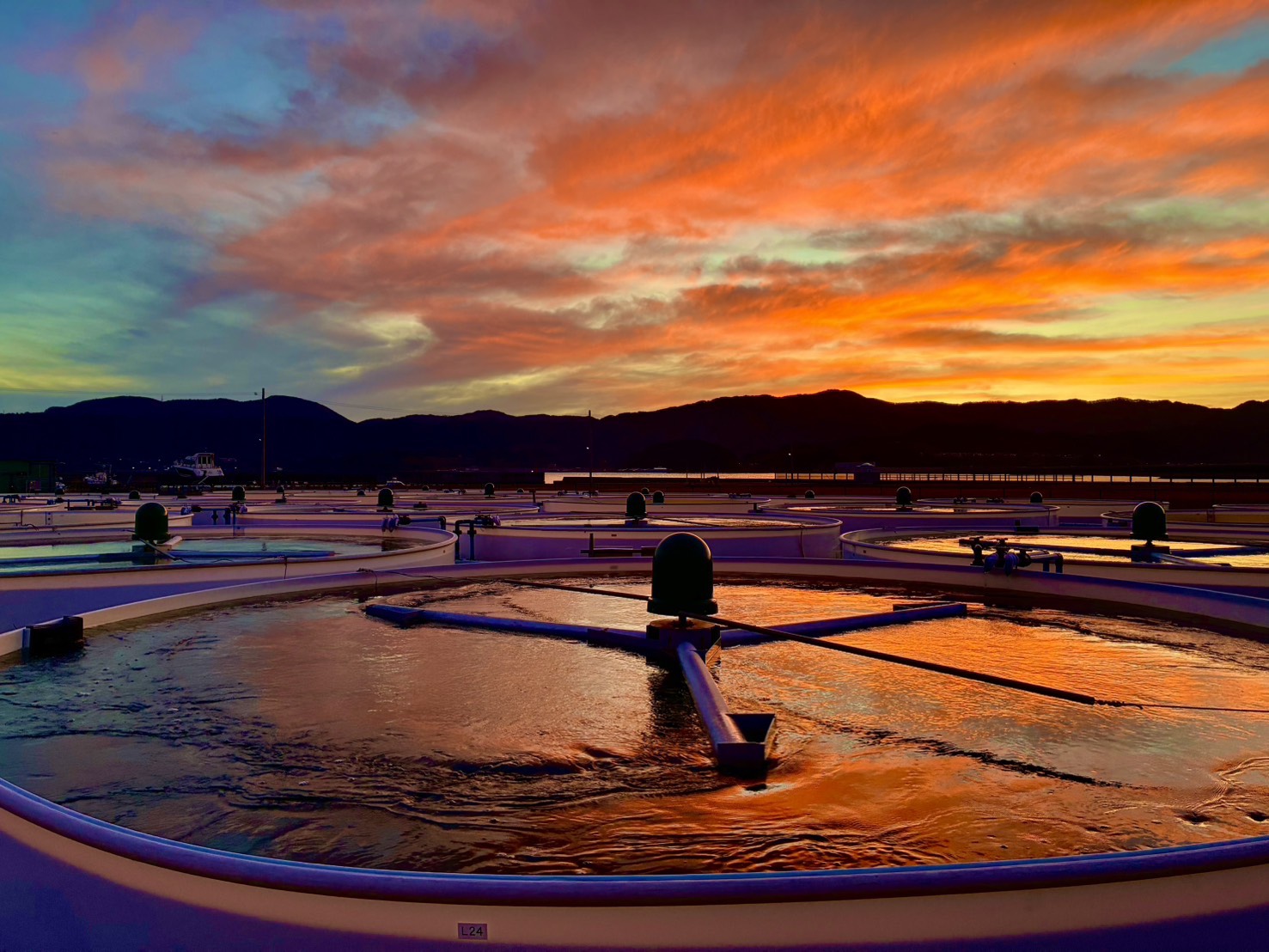 陸前高田ベースの夕焼け